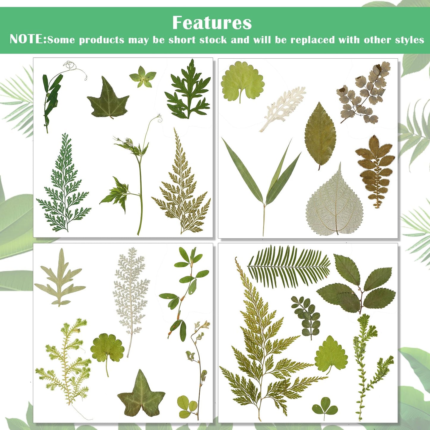 Timtin 84 Pieces Dried Pressed Leaves Flowers for Resin Mini Dried Flowers for Crafts Greenery Assorted for Art DIY Handmade Bookmarks 4 Bags(Vivid Style)