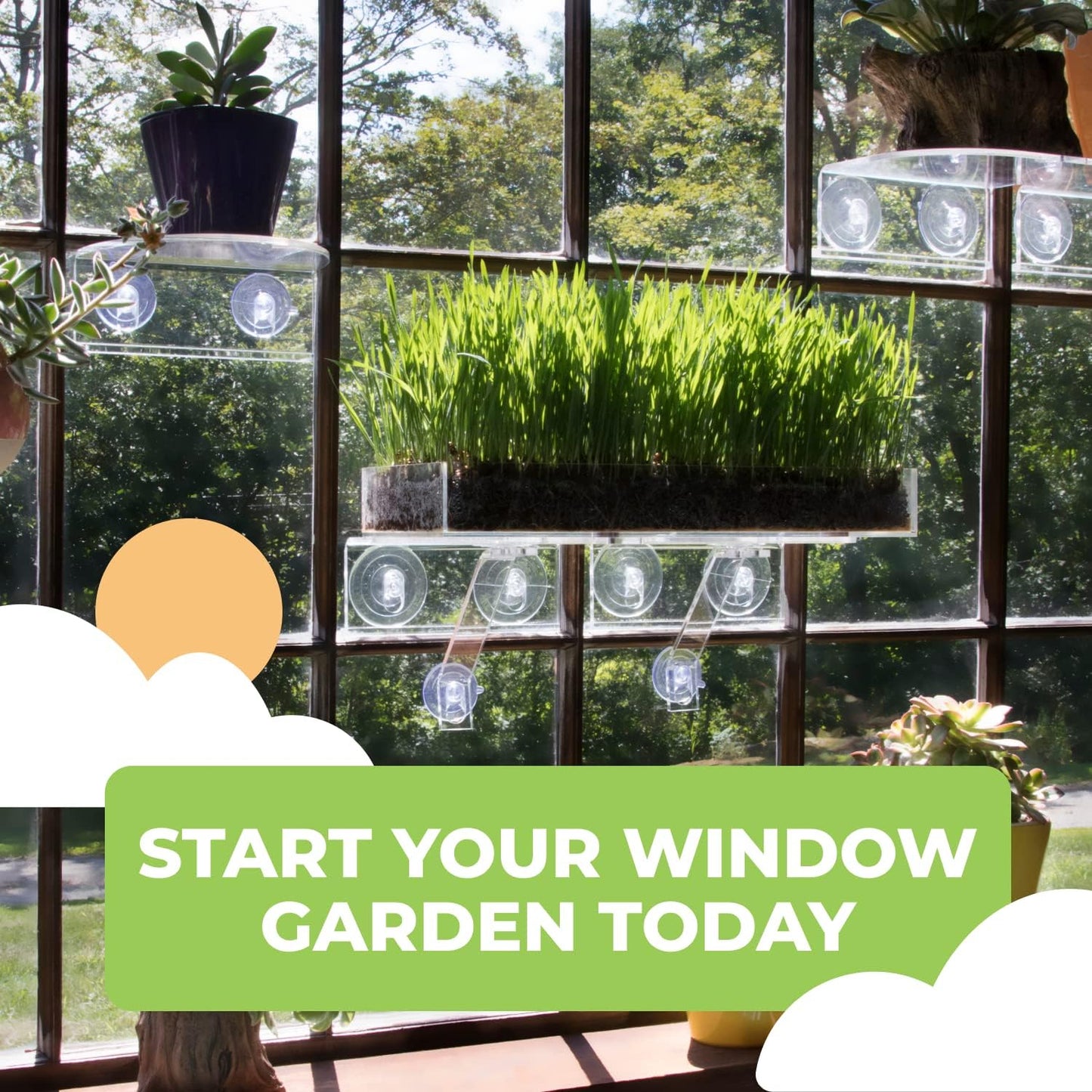 Window Garden Replacement Suction Cups, 12 Clear Large Super Strong Suckers for Glass Surfaces