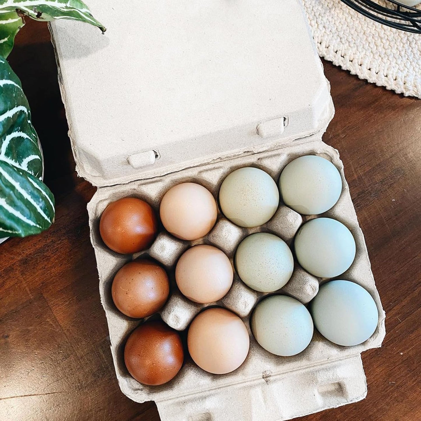 12 3x4 Packaging 25 Pack Vintage Egg Cartons for Large Eggs Classic Layout Durable Recycled Cardboard Farmhouse Style