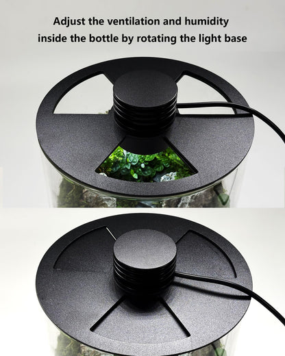 Desktop Glass Terrarium with Grow Light (7.5" H x 5.9" D) - for Succulents, Moss, Mini Gardens, Betta Fish Tanks, Mushroom Cultivation | Indoor Plant Growth | Office/Home Decor | Plant Lover Gifts