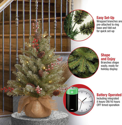 National Tree Company Pre-Lit Artificial Mini Christmas Tree, Green Dunhill Fir, White Lights, 2 Feet