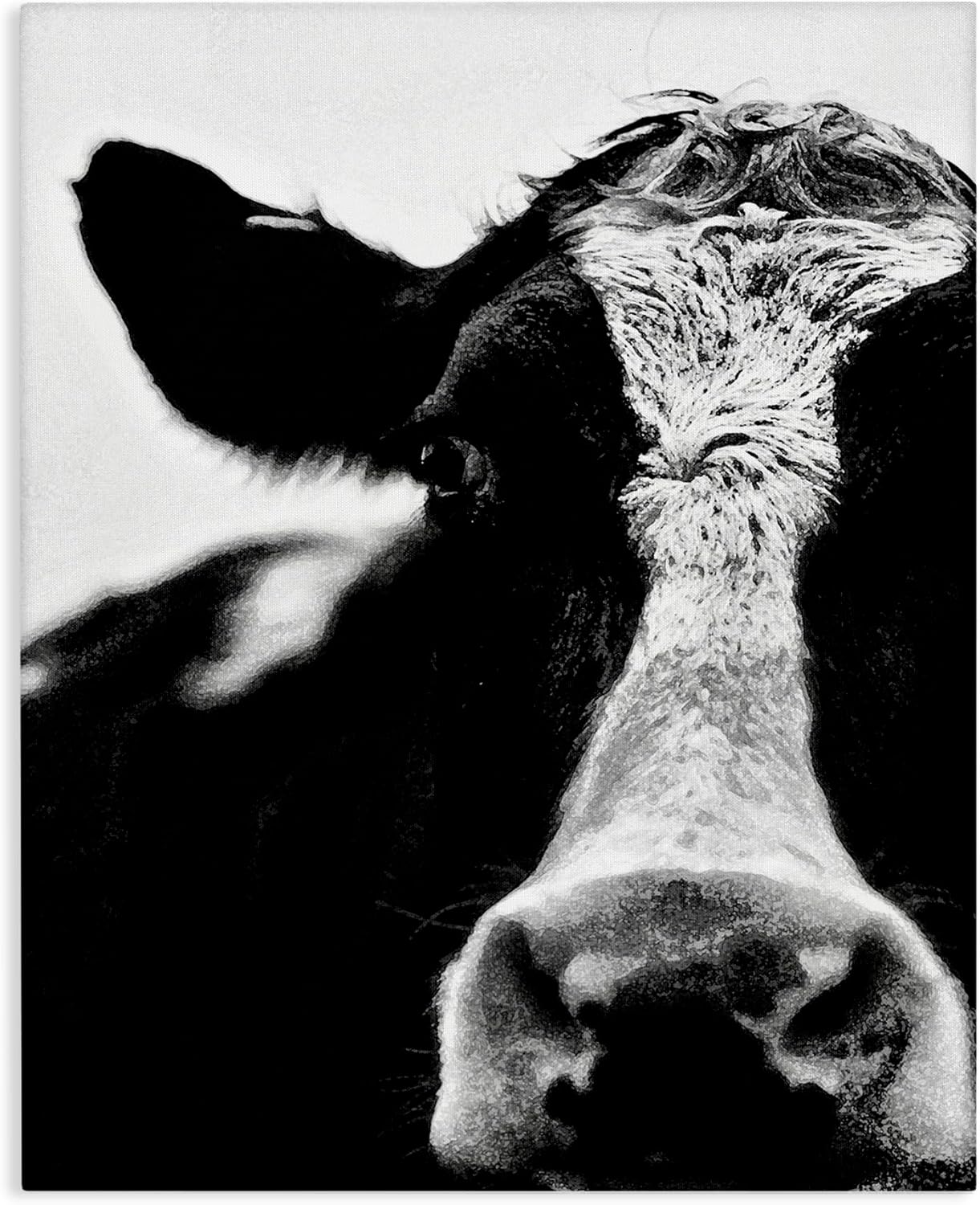 Cow Face Portrait Canvas Wall Art, 16 x 20, Designed By Lettered and Lined - Stupell Industries
