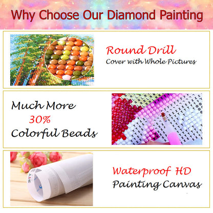 JATOK Diamond Painting Kits for Adults DIY Flowers Full Round Drill Cross Stitch Embroidery Pictures Arts Paint by Number Kits Diamond Painting Kits for Home Wall Decor （3 Sets