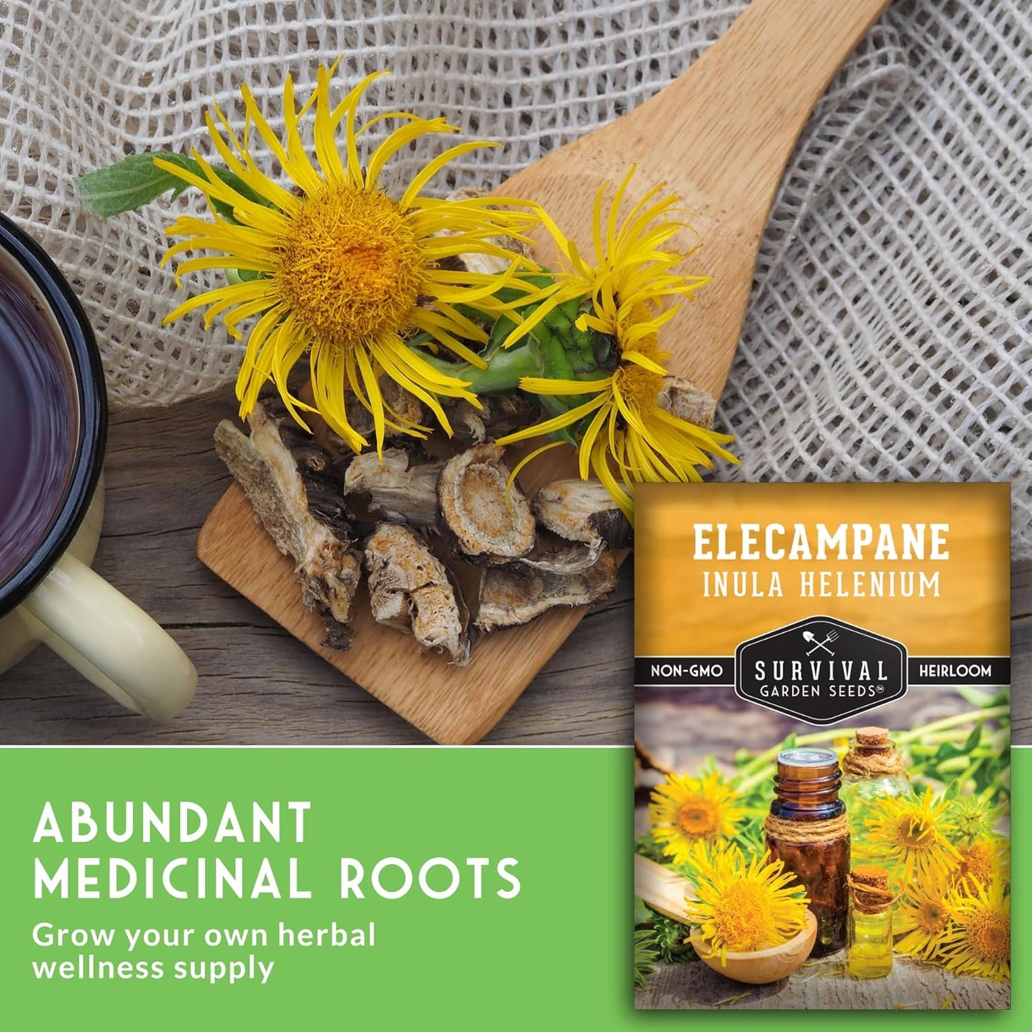 (1 Pack) Elecampane Seeds for Planting - Traditional Medicinal Herb (Inula helenium) with Tall Yellow Blooms