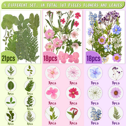 Nuanchu 167 Pcs Real Dried Pressed Flowers Natural Dried Flowers Colorful Daisy Mixed Wildflowers Leave for DIY Candle Resin Nails Jewelry Pendant Crafts Floral Art(Multicolor,Lovely Style)