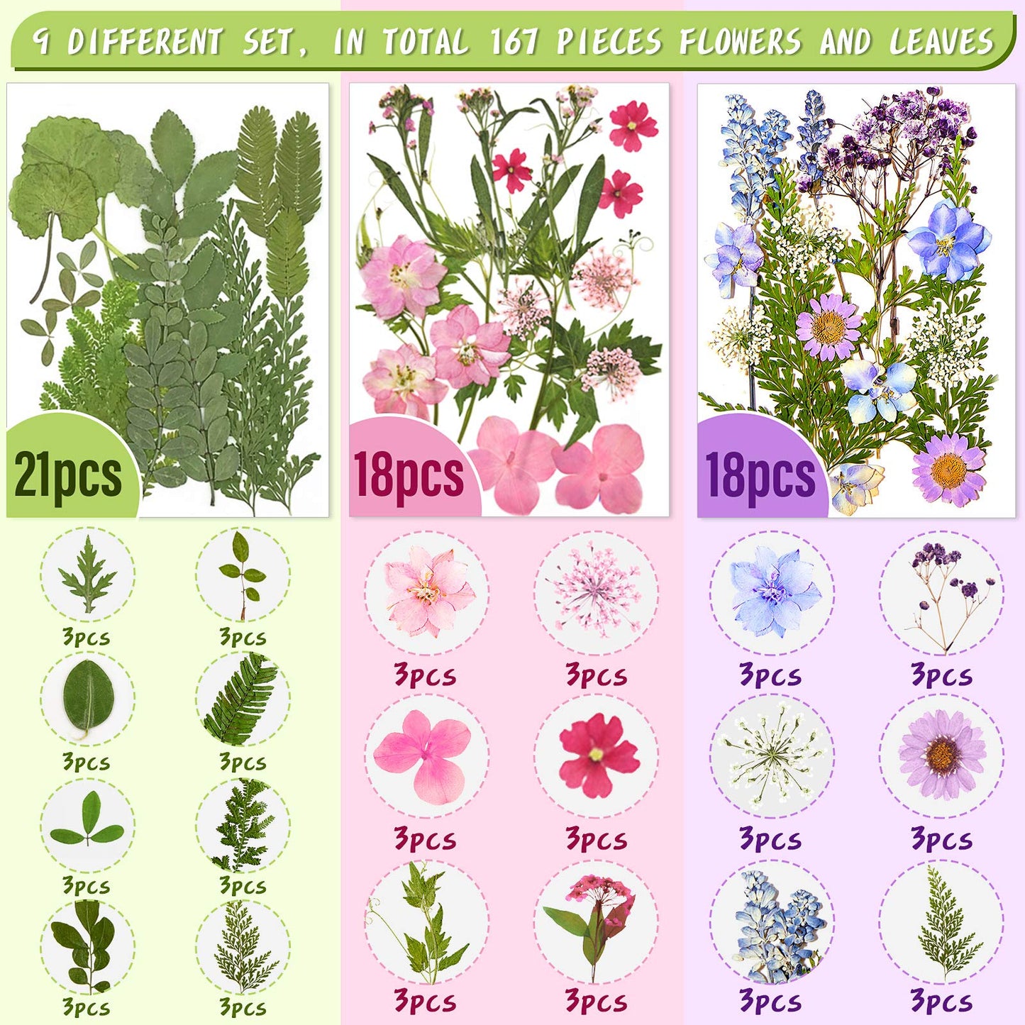 Nuanchu 167 Pcs Real Dried Pressed Flowers Natural Dried Flowers Colorful Daisy Mixed Wildflowers Leave for DIY Candle Resin Nails Jewelry Pendant Crafts Floral Art(Multicolor,Lovely Style)