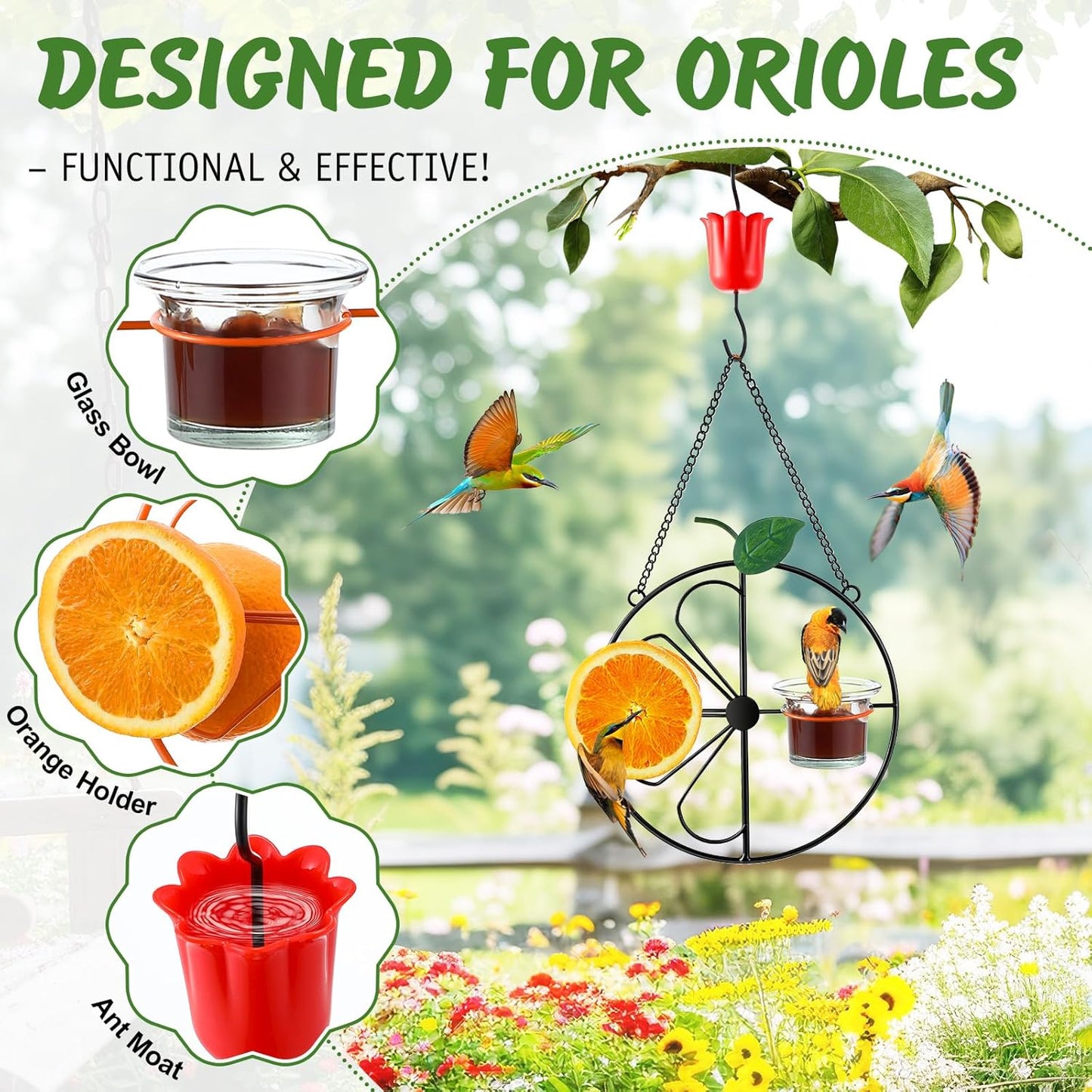 Dunkive Halves(Black,1 Pack) Baltimore Oriole Bird Feeder for Outdoors Oriole Feeder with Ant Moat & Glass Bowl & Ant