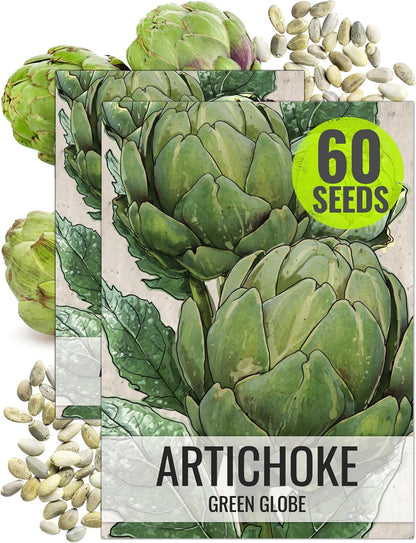 (2 Packs) Seed Needs Artichoke Seeds for Planting Green Globe Artichokes - Non-GMO Heirloom & Untreated - Grow an