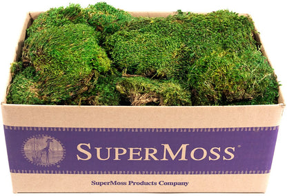 SuperMoss (21538) Mood Moss Preserved, Fresh Green, 3 Pounds