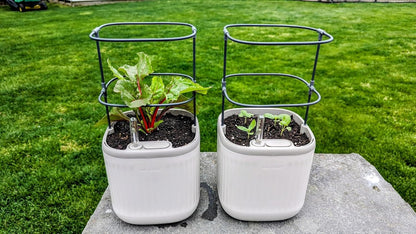 Countertop Vego garden Mini Planter Indoor Pots with Trellis Self-Watering Herb Planter for Climbing Vegetables Flowers