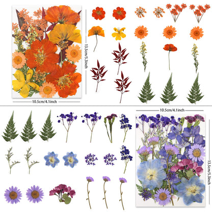 80 Pcs Dried Pressed Flowers for Crafts, Real Natural Dried Pressed Flowers in Vibrant Multicolor Tones for Resin, DIY Art, Jewelry, Candle & Soap Making – Tweezers Included
