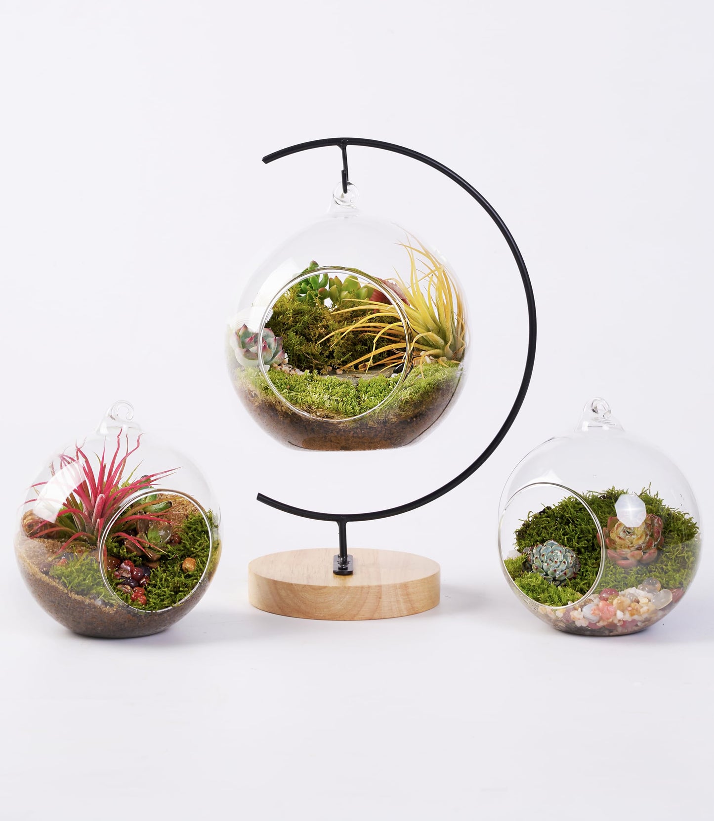 LUCKYRUNES DIY Terrarium Kit with Live Moss, 15-Piece Glass Globe Set with Wooden Stand, Tools, Soil, Stones & Spray Bottle, Indoor Mini Garden Gift for Plant Lovers, Home Desk Decor