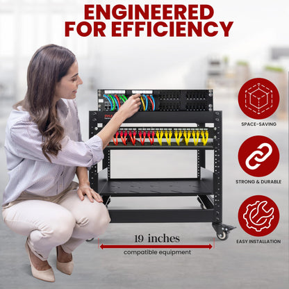 Pyle 10U Network Cabinet, Enclosed Network Rack with Lockable Door | Vented 1U and 2U Rack Shelves with 440 lb Capacity | Steel Construction, 19 in Standard Design | Hardware Included | Black