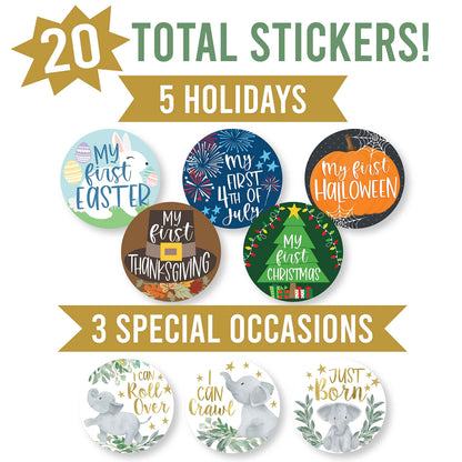 Hadley Designs 20 Monthly Baby Milestone Stickers-Elephant Baby Monthly Milestone Stickers, Newborn, Photo Props