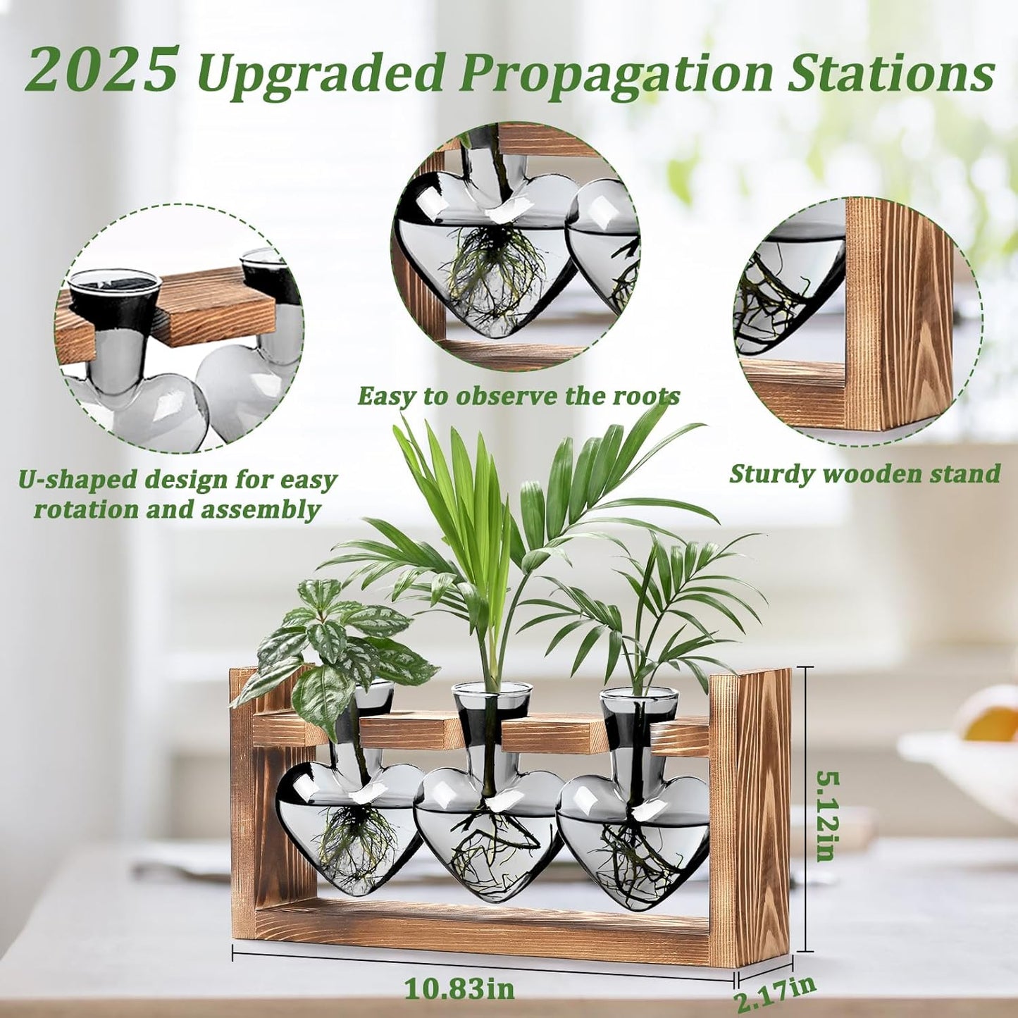 (3 Lifecapido Heart Shaped Propagation Stations, Plant Terrarium with Wooden Stand, Plant Propagation Station