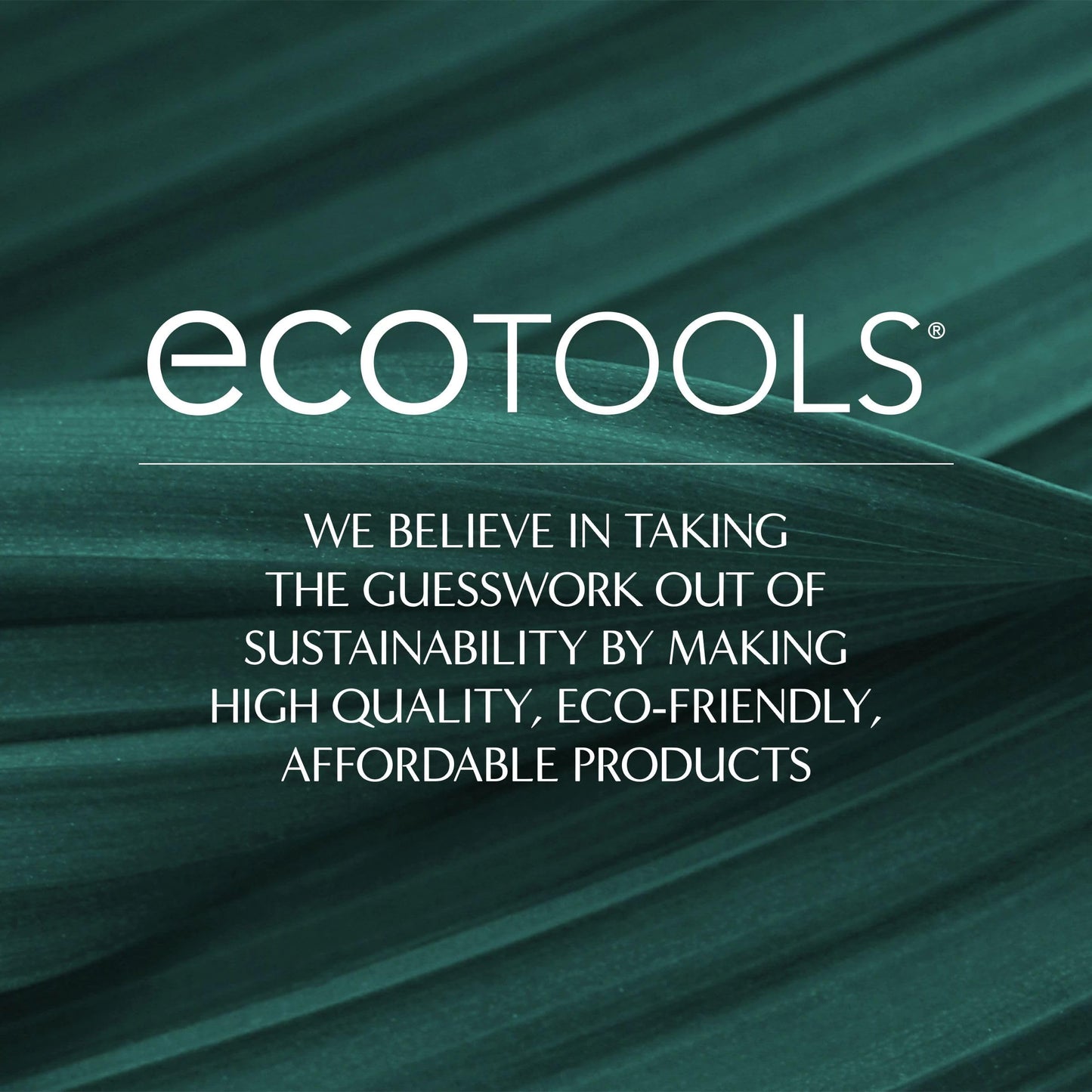 EcoTools Makeup Brush + Sponge Shampoo, Remove Makeup & Impurities From Tools, Sponges, & Puffs, Fragrance-Free Brush Cleanser, No Harsh Chemicals, Vegan, & Cruelty-Free, 8 fl. oz./236 ml. Bottle