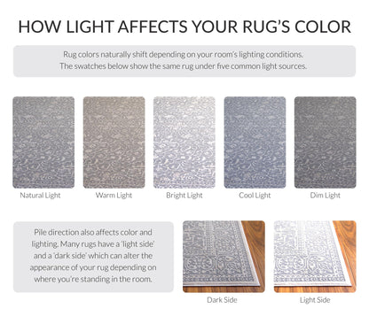 SAFAVIEH Area Rug 10x14 - Reflection Collection - Large - Light Grey & Cream, Non-Shedding & Easy Cleaning, Ideal for Living Room, Bedroom (RFT670C)