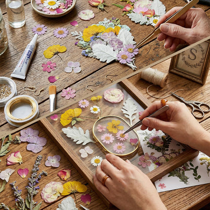 CONVELIFE Dried Pressed Flowers Real Natural - Mixed Colors Flat Pressed Flowers for Resin, Crafts, Candle Making, DIY Art Supplies (75Pcs Dried Flowers)