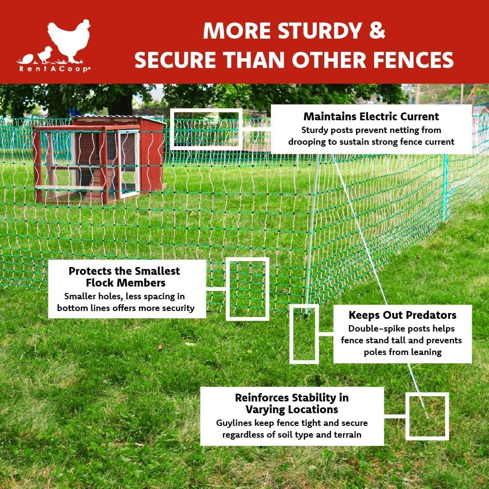 RentACoop Poultry Netting Electric Fence - Electric Poultry Enclosure for Chickens, Ducks, Turkeys - Suitable for 4 Week Old Chickens/Older and Adult Poultry - Energizer Not Included - 168' L x 48" H