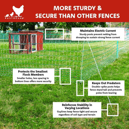 RentACoop Poultry Netting Electric Fence - Electric Poultry Enclosure for Chickens, Ducks, Turkeys - Suitable for 4 Week Old Chickens/Older and Adult Poultry - Energizer Not Included - 168' L x 42" H