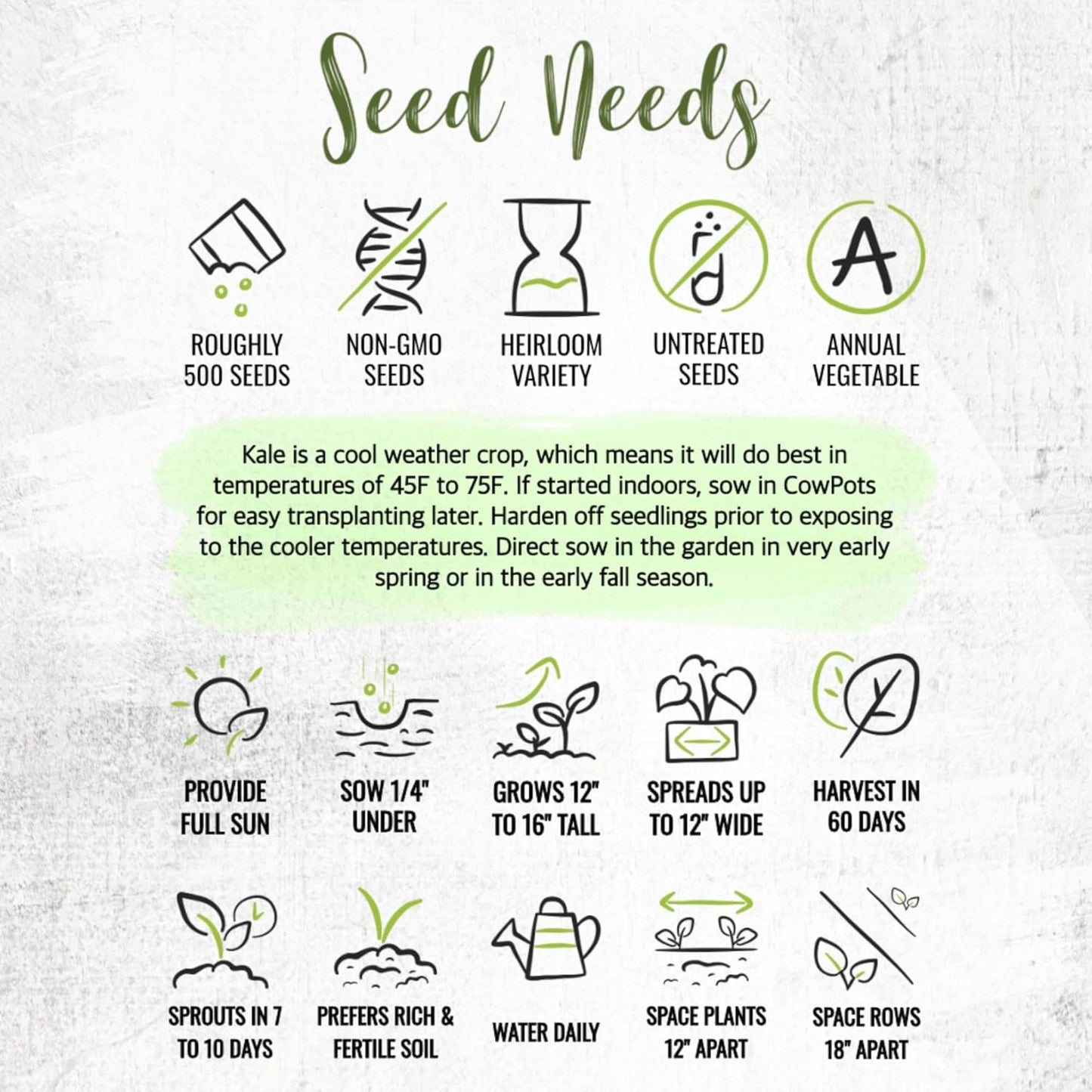 (1 Pack) Seed Needs Kale Seeds for Planting Red Russian Kale Vegetables - Non-GMO Heirloom & Untreated Vegetable Seed