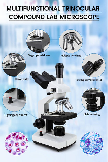 40X-5000X Compound trinocular Microscopes trinocular for Adults, with 5.0 mp Camera with Microscope Slides 30p, Microscope Accessories, Microscopes for School Laboratory Home Education Abbe Condenser
