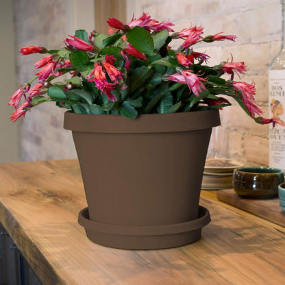 Bloem Terra Plant Saucer Tray for Planters, 3-6" Chocolate Brown