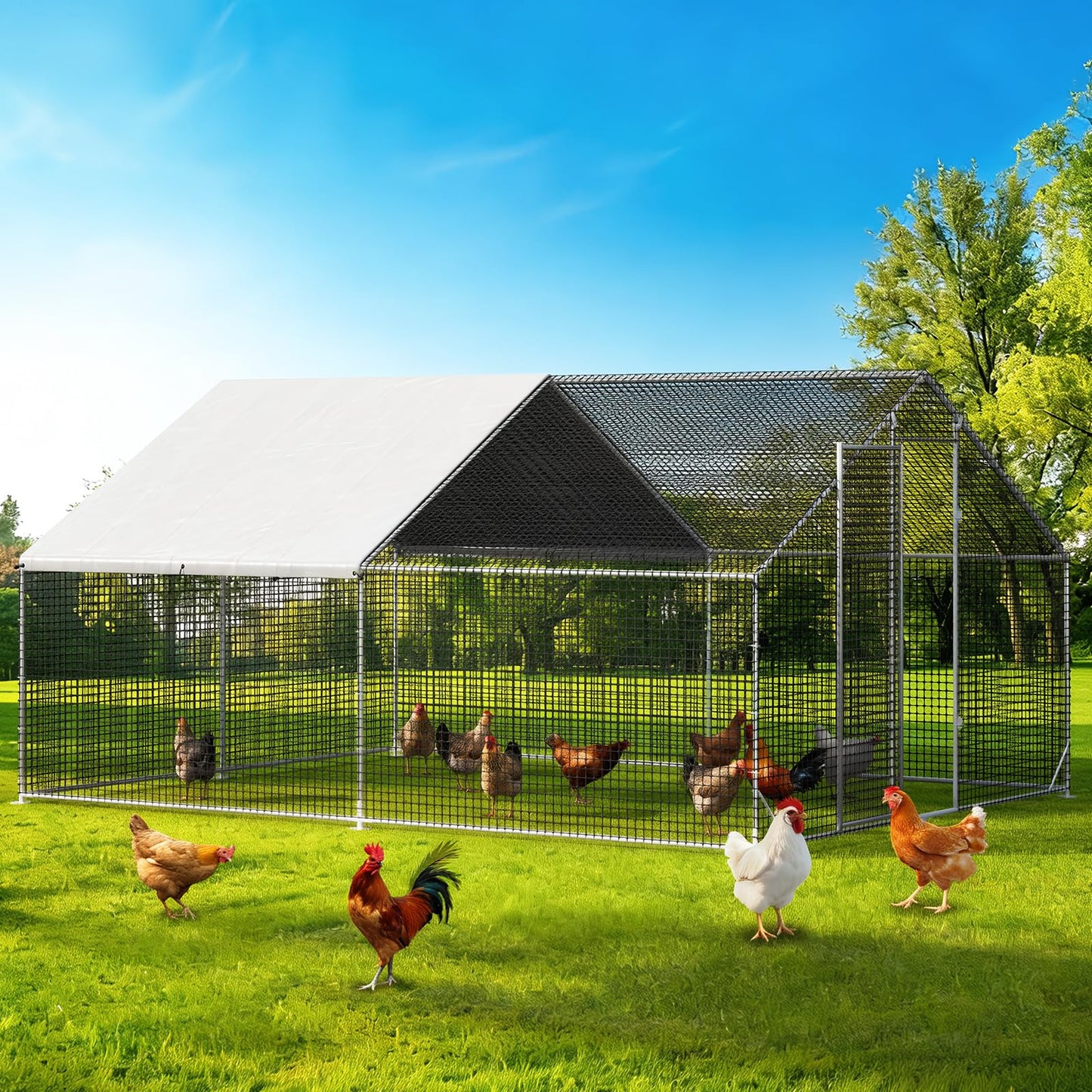 Large Walk-in Chicken Coop with Chicken Run, Galvanized Poultry Enclosure with Waterproof Anti-UV Cover and Security Lock, Ideal for Rabbit, Duck, Backyard and Farm Yard，13.1'x 9.8'x 6.6'