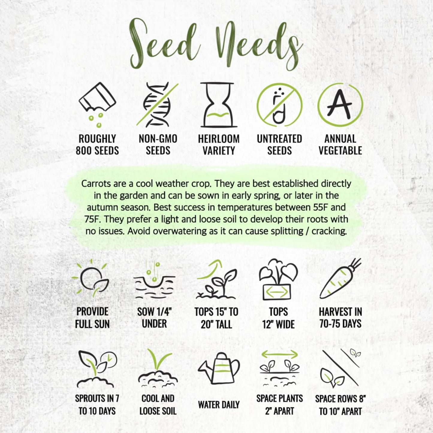 (1 Pack) Seed Needs Carrot Seeds for Planting Tendersweet Carrots - Non-GMO Heirloom & Untreated Vegetable Seed