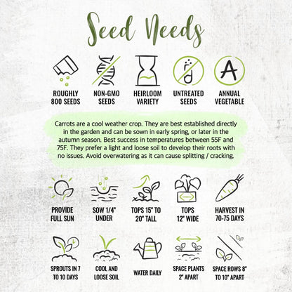 (1 Pack) Seed Needs Carrot Seeds for Planting Tendersweet Carrots - Non-GMO Heirloom & Untreated Vegetable Seed