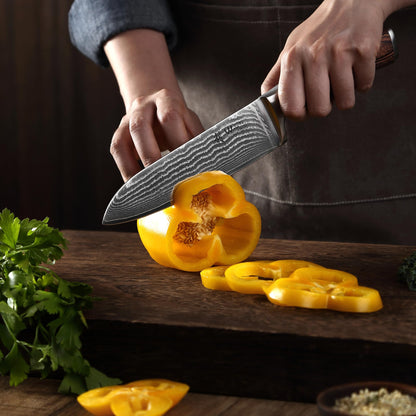Wakoli EDIB 5-Piece Damascus Knife Set, Professional Kitchen Knives made of 67-Layer Damascus Steel with VG10 Core Blades, Ergonomic Pakkawood Handles, In Wooden Gift Box