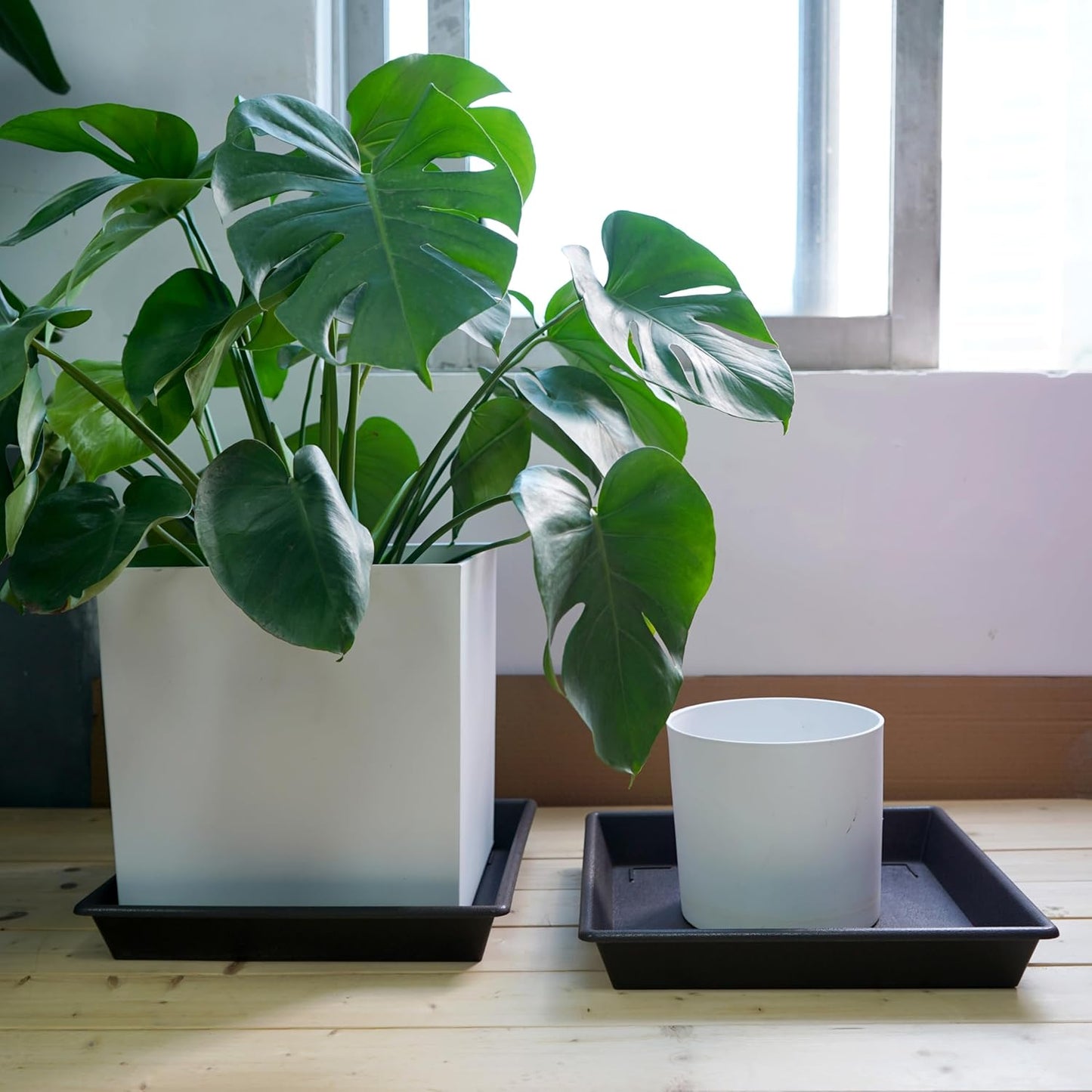 NIMYAU 12 Inch 2 PackPlant Square Plant Saucer Stand Plant Trays for Pots Heavy Duty Plastic Plant Saucers for Indoors