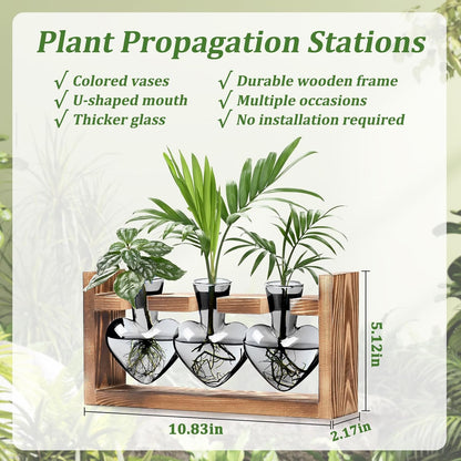 (3 Lifecapido Heart Shaped Propagation Stations, Plant Terrarium with Wooden Stand, Plant Propagation Station