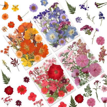 80 Pcs Dried Pressed Flowers for Crafts, Real Natural Dried Pressed Flowers in Vibrant Multicolor Tones for Resin, DIY Art, Jewelry, Candle & Soap Making – Tweezers Included