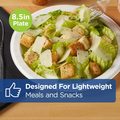 Dixie Basic 8.5 Inch Light-Weight Paper Plates by GP PRO, White, 500 Count (125 Disposable Plates Per Pack, 4 Packs Per Case), DBP09W