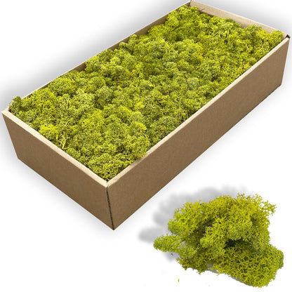 Gusaloo Preserved 5oz Moss Artificial Moss Natural Fresh Green Moss for Craft Handicraft Arts Floral Project Wall Decor Table Decor Wedding Centerpieces Garden Terrariums Decoration
