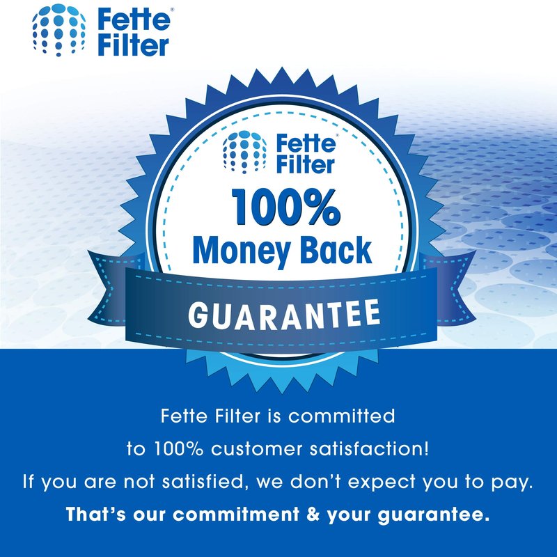 Fette Filter - HEPA Vacuum Air Filter Compatible with Electrolux Guardian LUX Aerus Epic 8000 9000 C134A C134B C134C C134D C134E C134F C154A C154B C154C C154D. Compare to Part # 47404 - Pack of 2