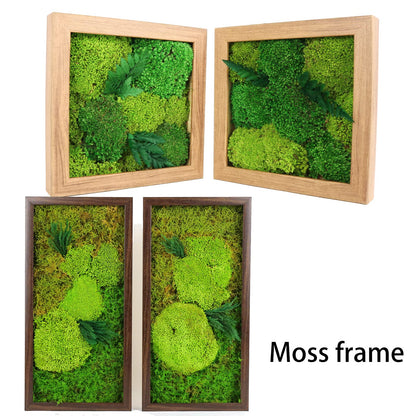 1.5 Sq. Ft. Preserved Moss Pole Decorative Moss for Crafts, Art, Wall Decor,Yellow Green Moss