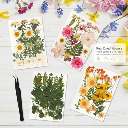 Relaxing Garden Pressed Flower Craft Kit for Adults & Women, DIY Floating Double Glass Frame Kit with Real Dried Flowers, Handmade Gift Art Project for Home Décor, Keepsake & Creative Crafts