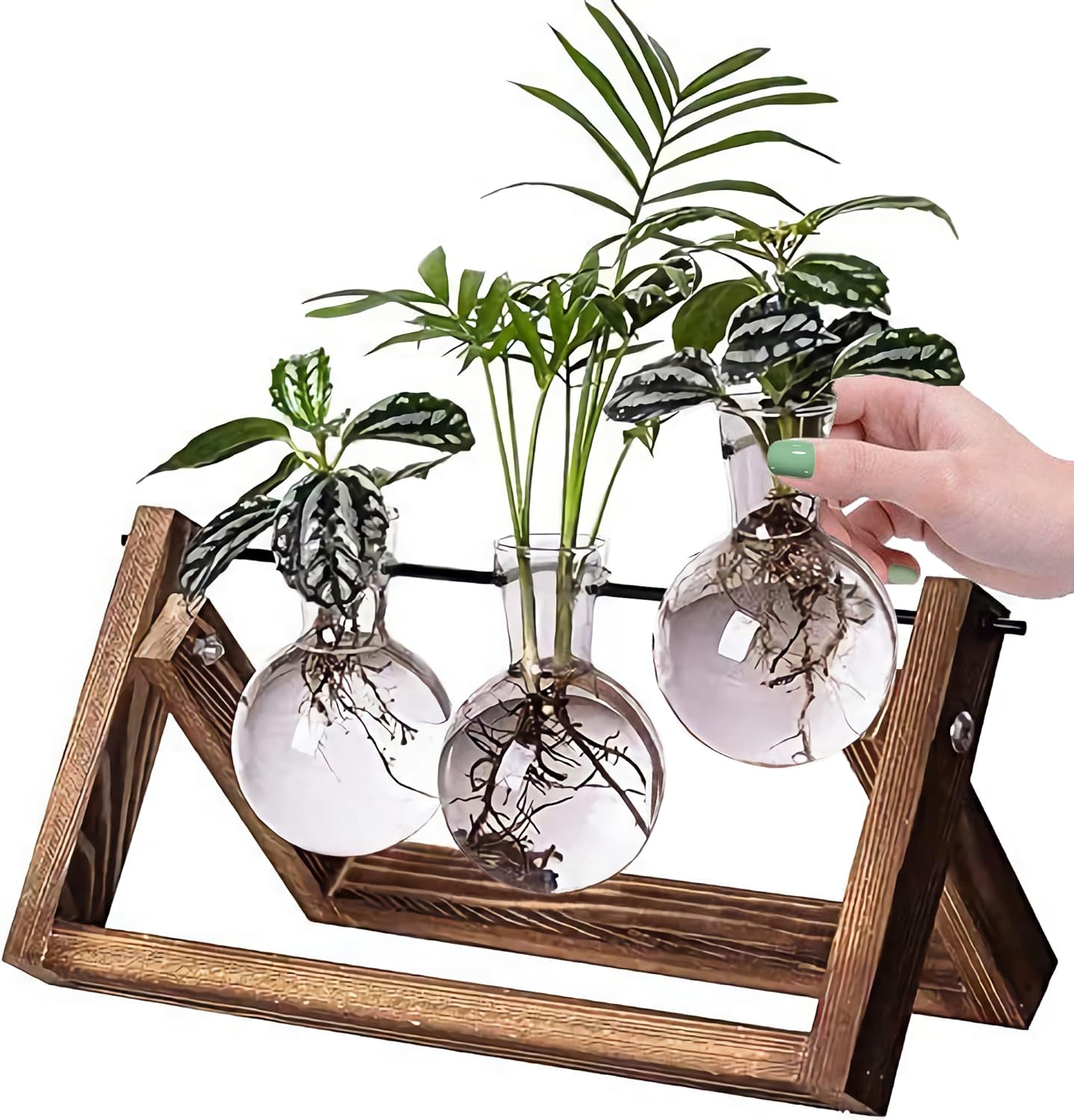3 Bulb Kingbuy Desktop Glass Planter Iron and Wooden Stand Plant Terrariums for Indoor Office Desk Decor Accessories