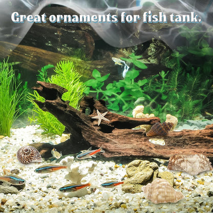 WFPLUS 200+pcs Mixed Sea Shells, Natural Seashells and Starfish for Fish Tank, Home Decorations, DIY Crafts