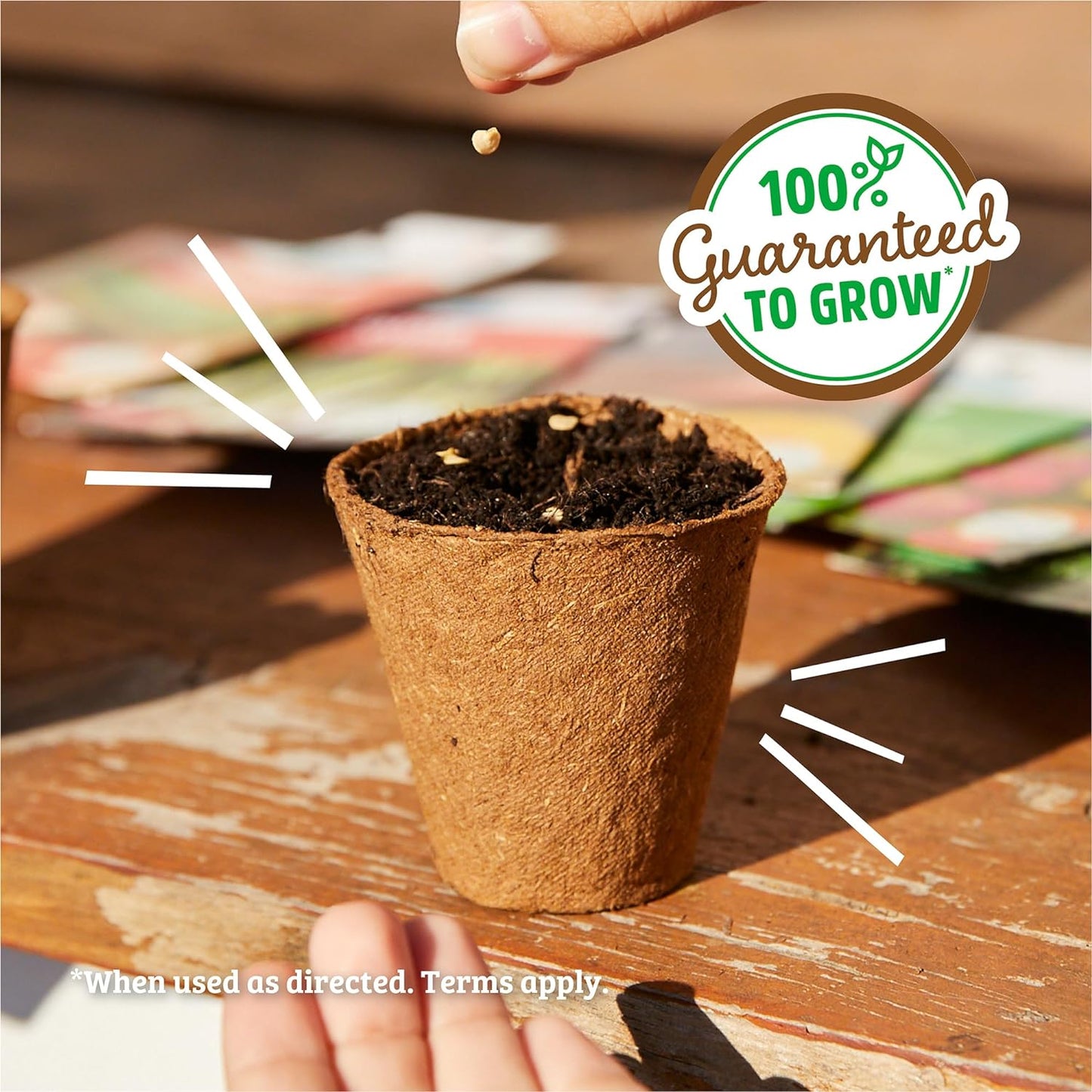 100% Packet 70mg Back to The Roots Organic Seed - Oregano 'Italian'