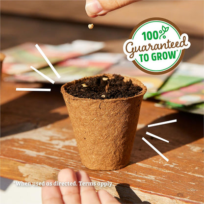 100% Packet 70mg Back to The Roots Organic Seed - Oregano 'Italian'