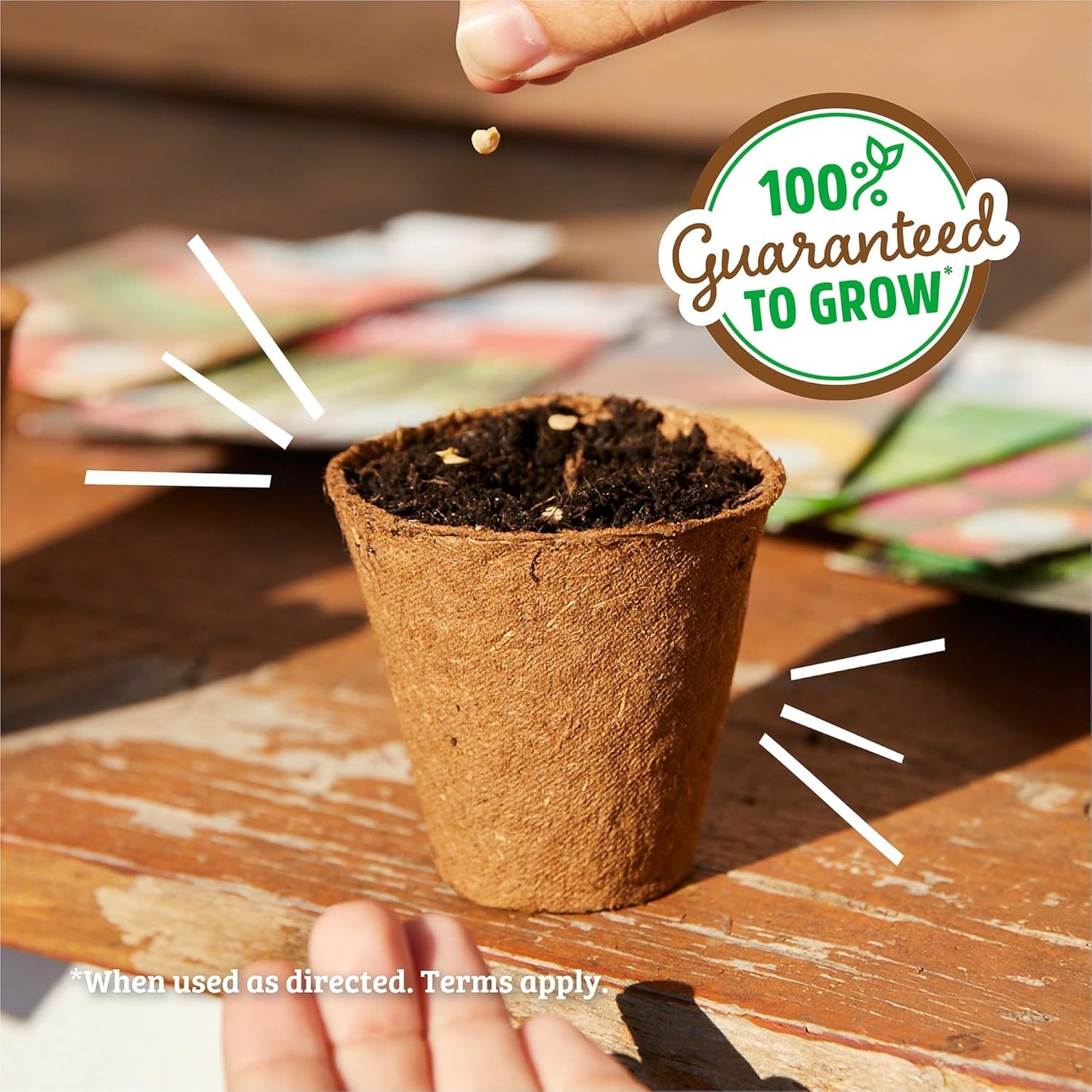 100% Packet 420mg Back to The Roots Organic Seed - Lettuce 'Gourmet Blend'
