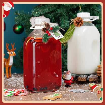 Ritayedet 64 Oz Heavy Duty Glass Milk Bottle with Reusable Airtight Strong SCREW LID - 1/2 Gallon Water Bottles with Scale Lines - 2 Qt Glass Milk Jug Pitcher - Extra Gaskets & Handle!