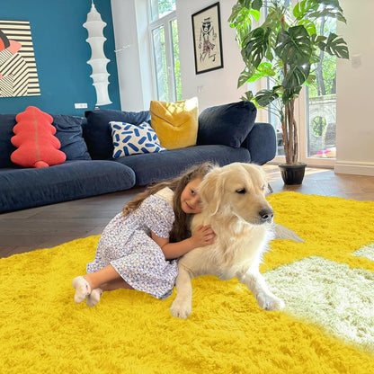 OLANLY Large Area Rug - Soft Fluffy Shaggy Carpet for Living Room & Bedroom | 9x12, Yellow