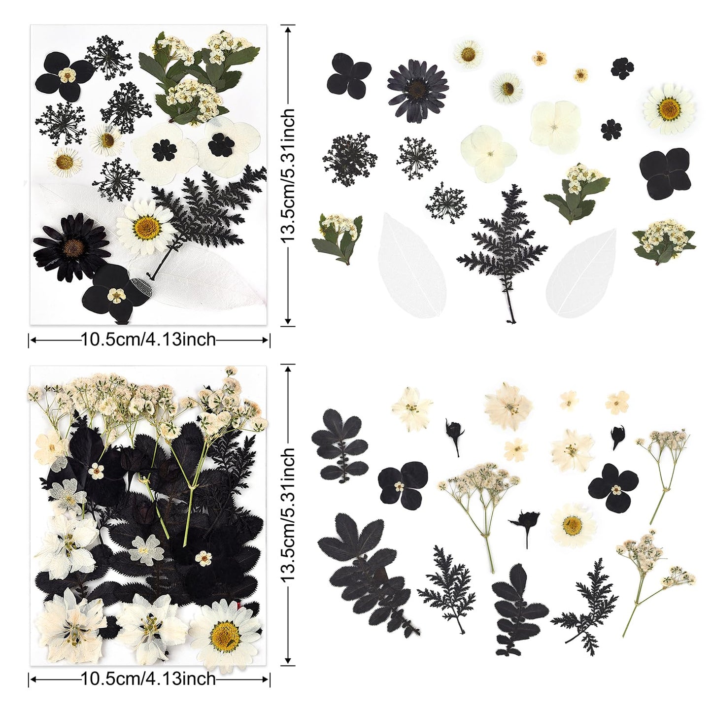DALARAN Black Dried Pressed Flowers for Resin Molds, Bulk Real Natural Dry Floral for DIY Art Crafts, Epoxy Jewelry, Candle, Nails Decor, Phone Case,Soap Making