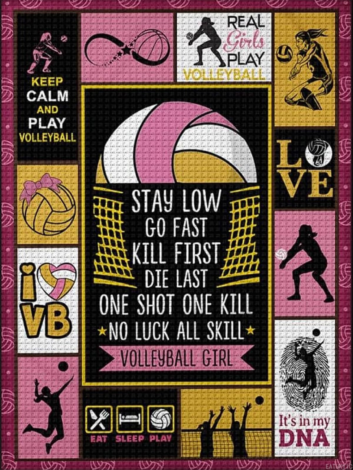 EATUKYIC Diamond Painting Kits Volleyball Funny Stay Low Go Fast Graphic Diamond Painting DIY 5D Frame for Adults Girl, Numbers Accessories Arts and Crafts for Home Wall Decor 12"x16"