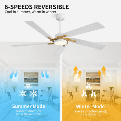 WINGBO 64 Inch Ceiling Fan with Light and Remote, 5 Plywood Blades, 6-Speed Reversible DC Motor, Dimmable, 3CCT, Modern Ceiling Fan for Bedroom Living Room Kitchen, Gold and White