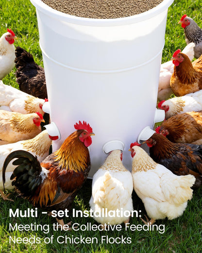 Aopchry [8 Pack] Automatic Chicken Feeder (White), Chicken Feeders No Waste Feed, Egg Shaped Thickened Design